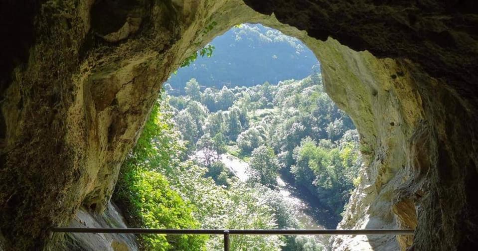 L'Echappee Au Jardin, Yourte Bucolique Godinne Εξωτερικό φωτογραφία